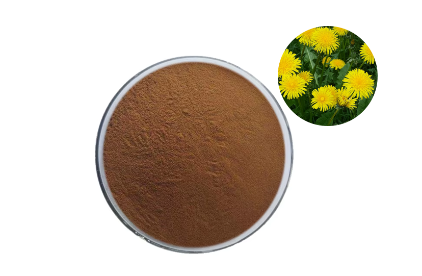 Best Dandelion Extract
